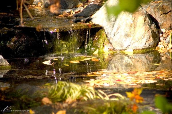 Sunlit small waterfall with autumn leaves in forest.