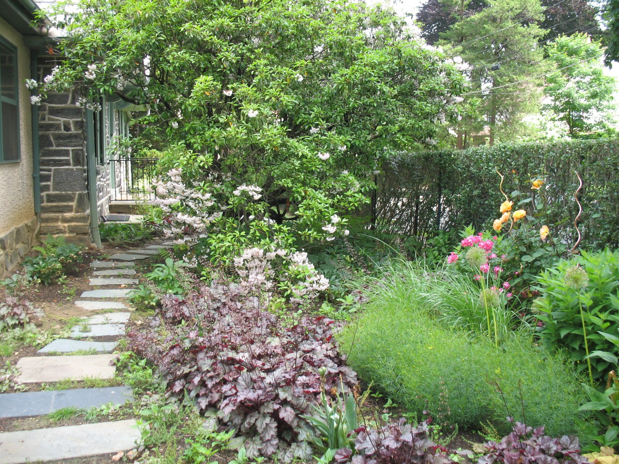 Lush garden pathway leading to stone house.