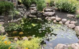 Garden pond with lily pads and sculpture