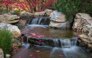 Small waterfall in a landscaped garden
